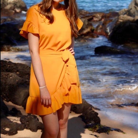 SOLD | Aritzia Ninette Ruffle Dress - Picture 2 of 11